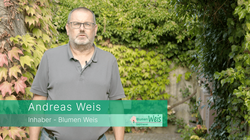 Video: Andreas Weis, Inhaber von Blumen Weis, über den RAINOS